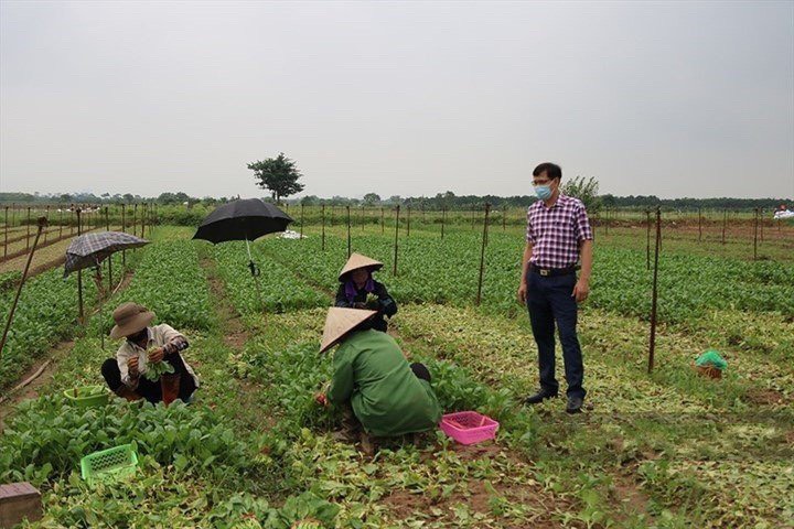 Đất l&agrave;m trang trại v&agrave; những điều cần biết r&otilde;